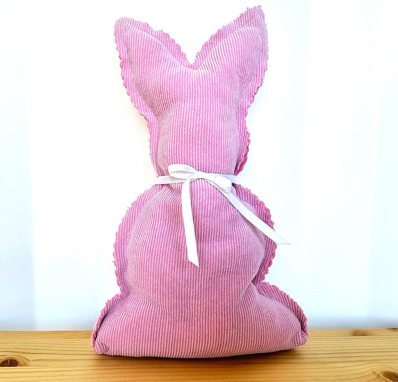 Easter Bunny Arrives 🐇