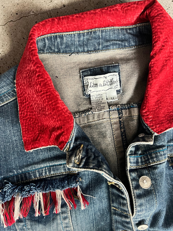 Red Plaid Plus Denim